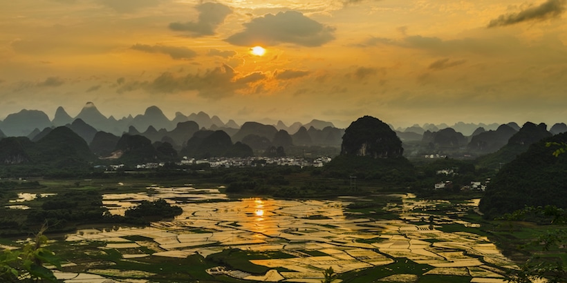 rice-fields-at-sunset