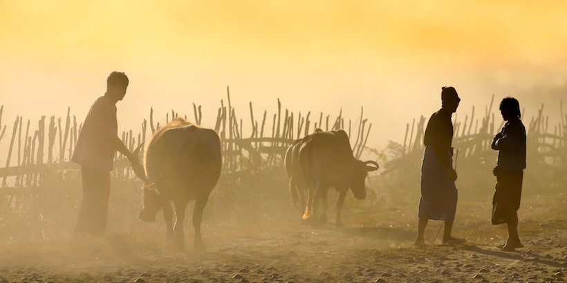 farmers-in-putao