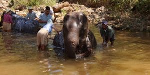 green-hill-elephant-camp-in-kalaw