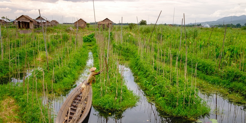 a-farmer-and-his-floating-garden-in-inle-lake