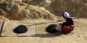 a-palaung-woman-drying-tea-leaves