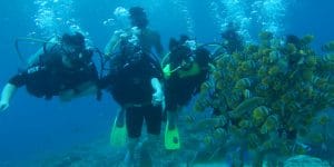 diving-in-the-mergui-archipelago-zone