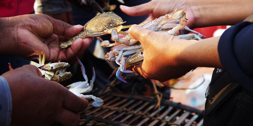 crab-trading-at-local-market-in-kep
